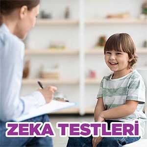 Zeka Testleri