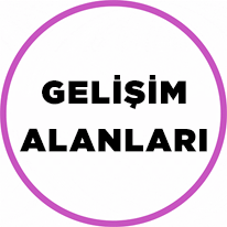 Gelişim Alanı