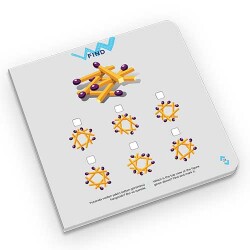 FIND 10+ Yaş / IQ, Dikkat ve Yetenek Geliştiren Kitaplar Serisi - 5